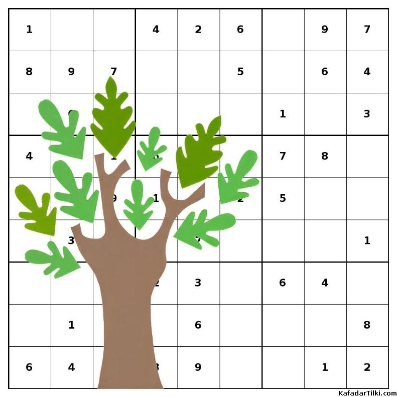zorluk derecesi çok yüksek sudoku kitabı, 1. sayı