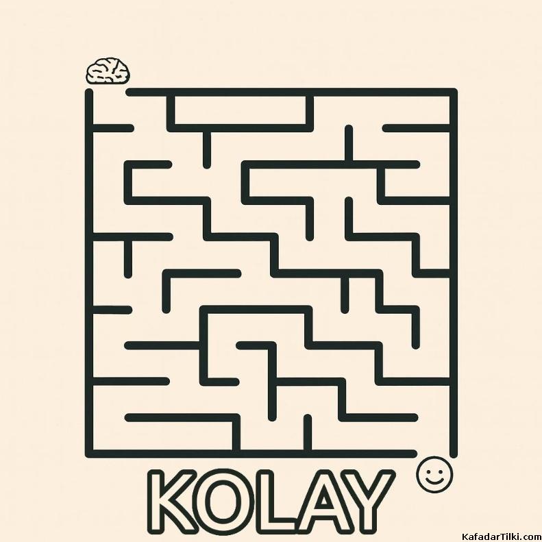 Zorluk seviyesi kolay olan labirent bulmacaları kitabı, 11. sayı