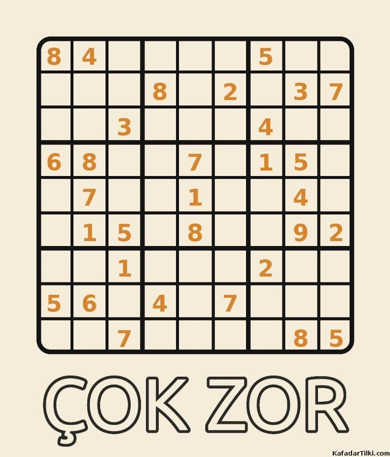 zorluk derecesi çok yüksek sudoku kitabı, 4. sayı