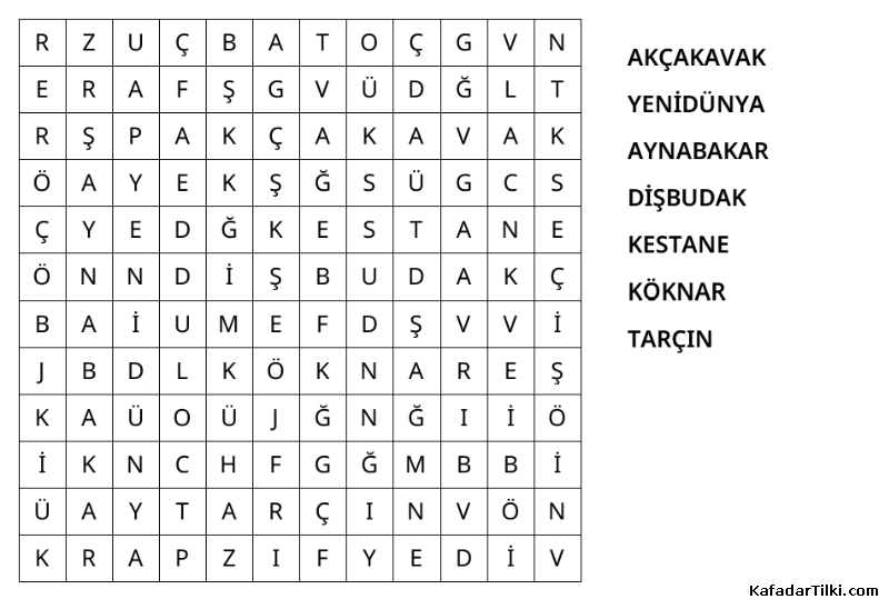 Kolay Kelime Avı, Ağaçlar - 2