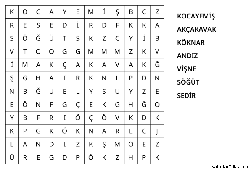 Kolay Kelime Avı, Ağaçlar - 4