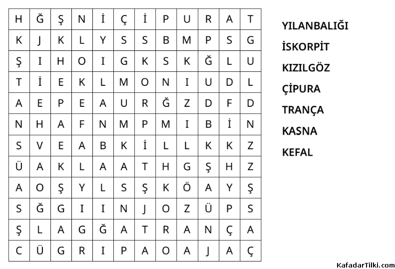 Kolay Kelime Avı, Balıklar - 4