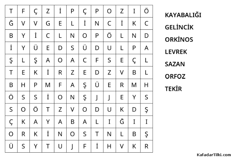 Kolay Kelime Avı, Balıklar - 5