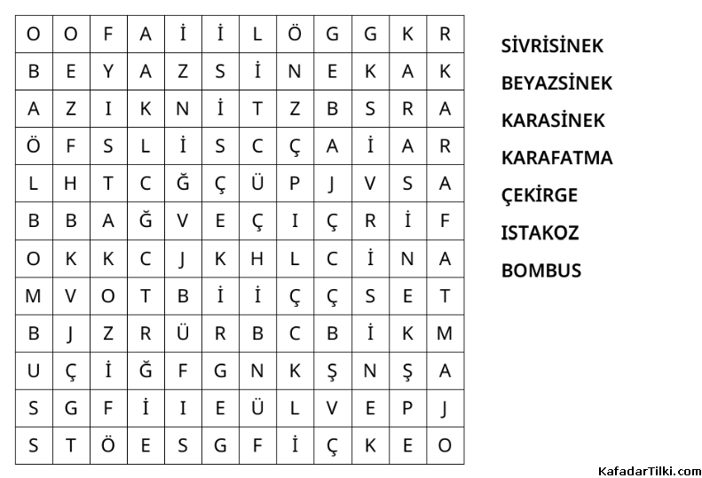 Kolay Kelime Avı, Böcekler - 2