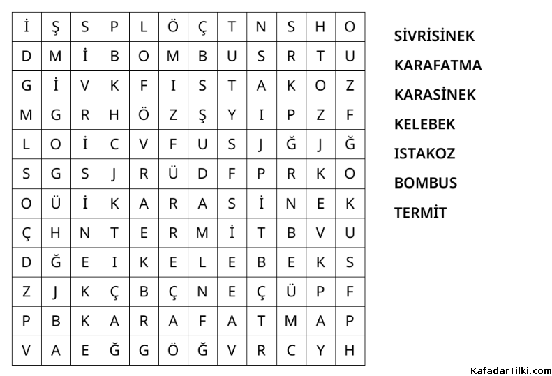 Kolay Kelime Avı, Böcekler - 3