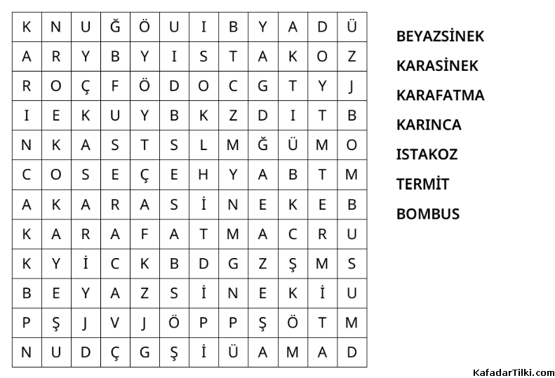 Kolay Kelime Avı, Böcekler - 4