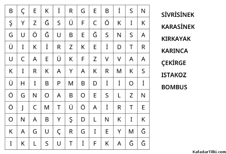 Kolay Kelime Avı, Böcekler - 5