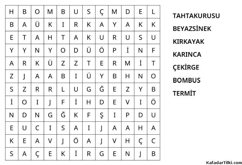 Kolay Kelime Avı, Böcekler - 6