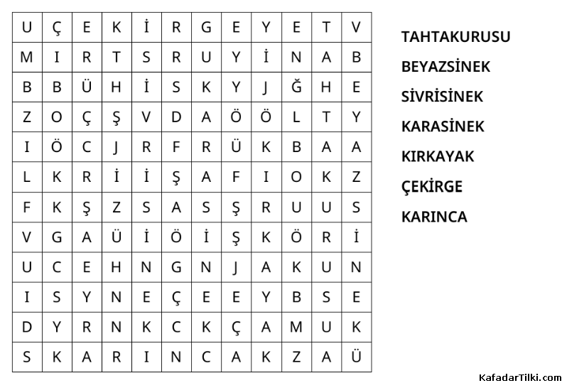 Kolay Kelime Avı, Böcekler - 8