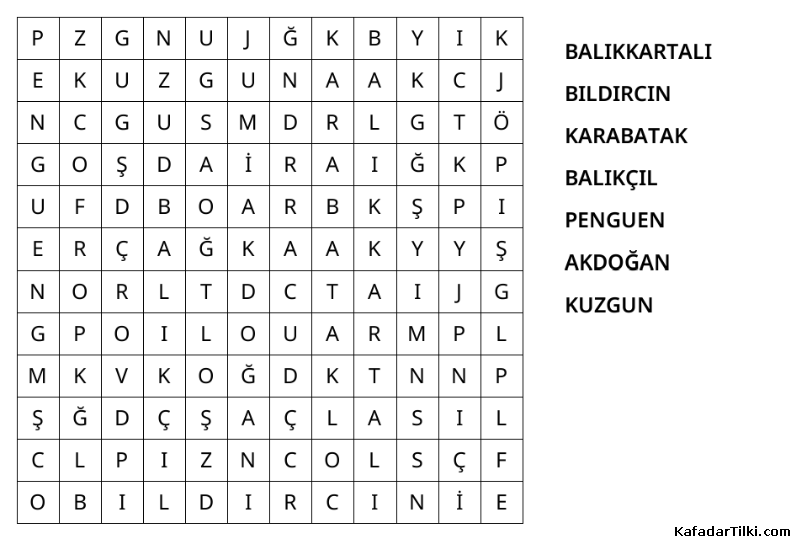 Kolay Kelime Avı, Kuşlar - 5