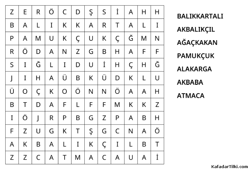 Kolay Kelime Avı, Kuşlar - 6