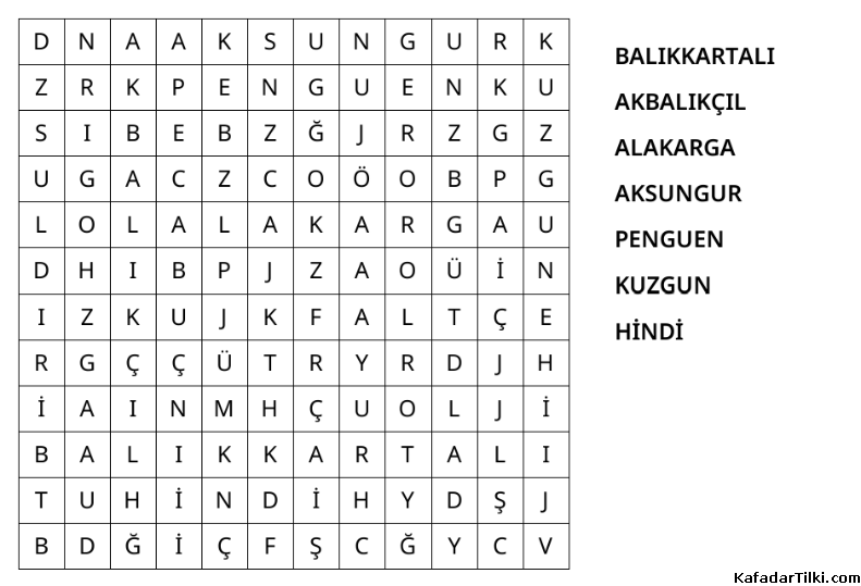 Kolay Kelime Avı, Kuşlar - 7