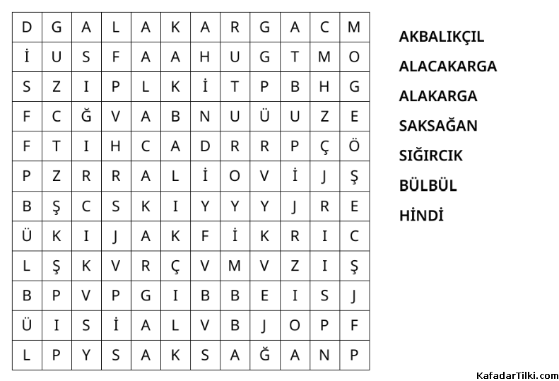Kolay Kelime Avı, Kuşlar - 8