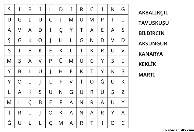 Kolay Kelime Avı, Kuşlar - 10