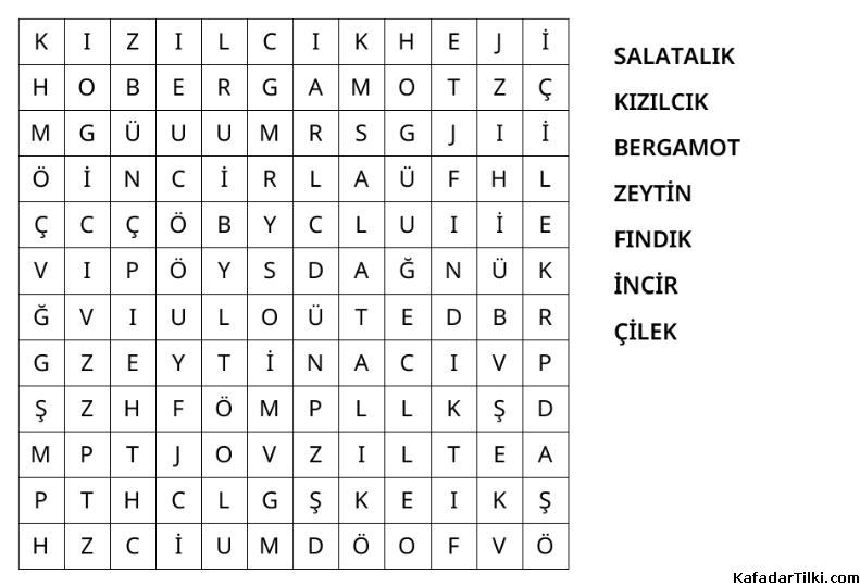 Kolay Kelime Avı, Meyveler - 3