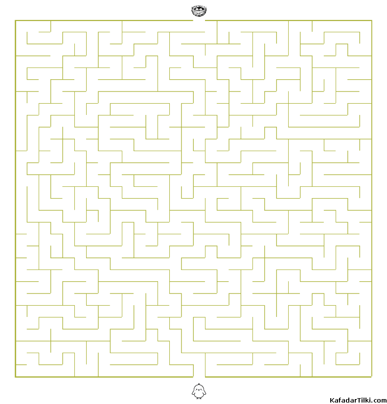 Kolay Labirentler Kitap 1 - 5