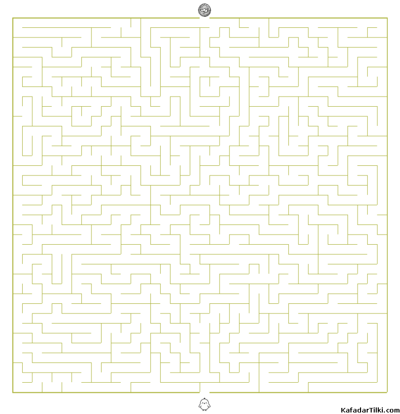 Kolay Labirentler Kitap 11 - 3