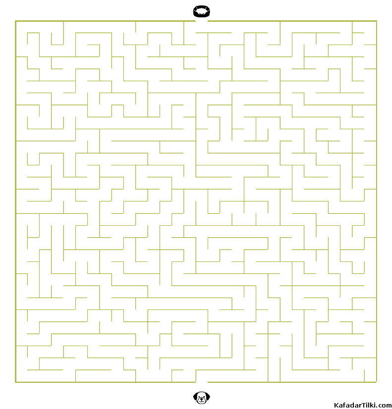 Kolay Labirentler Kitap 4 - 5