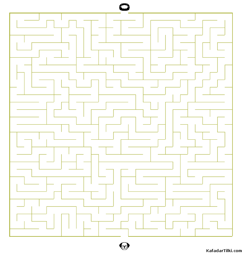 Kolay Labirentler Kitap 5 - 2