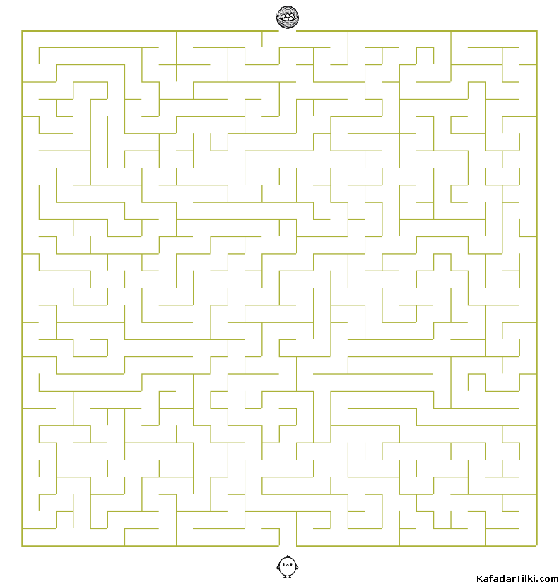 Kolay Labirentler Kitap 5 - 6