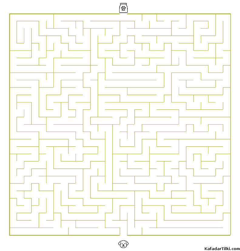 Kolay Labirentler Kitap 5 - 8
