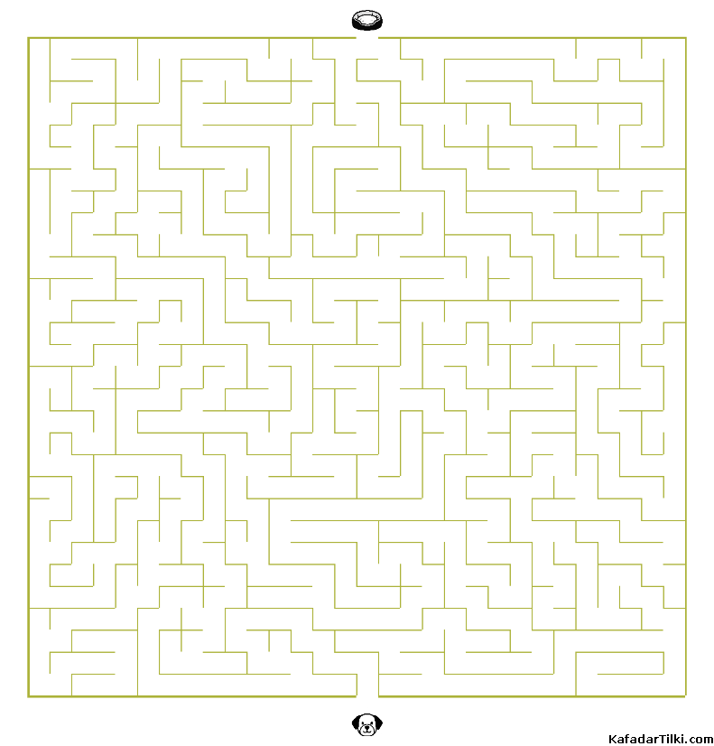 Orta Seviye Labirentler Kitap 10 - 10