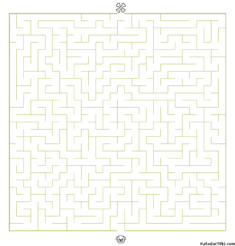 Orta Seviye Labirentler Kitap 11 - 2