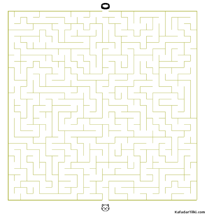 Orta Seviye Labirentler Kitap 12 - 2