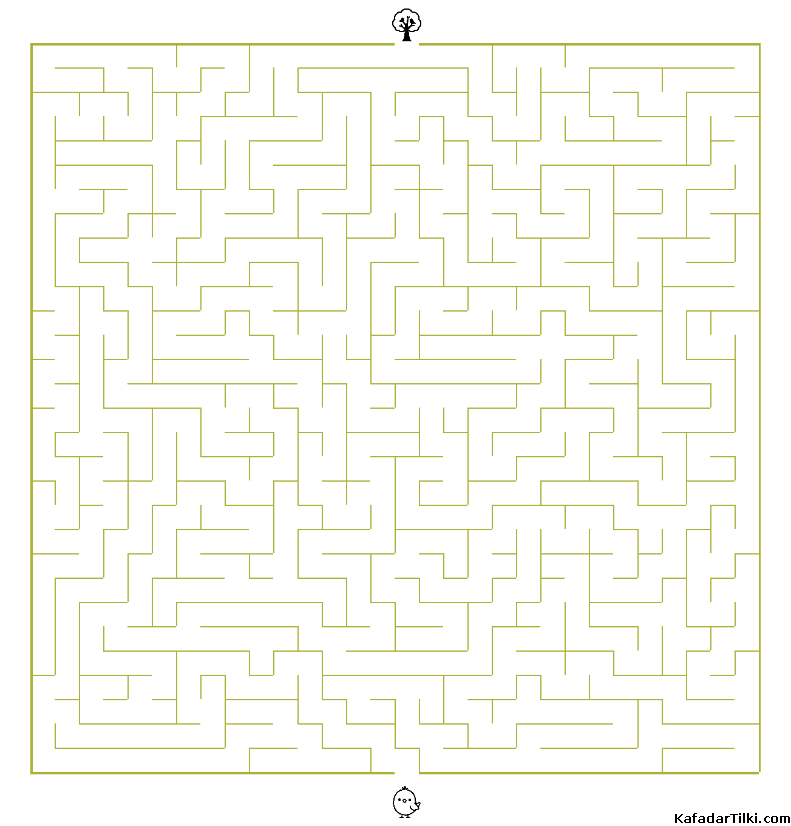 Orta Seviye Labirentler Kitap 14 - 2