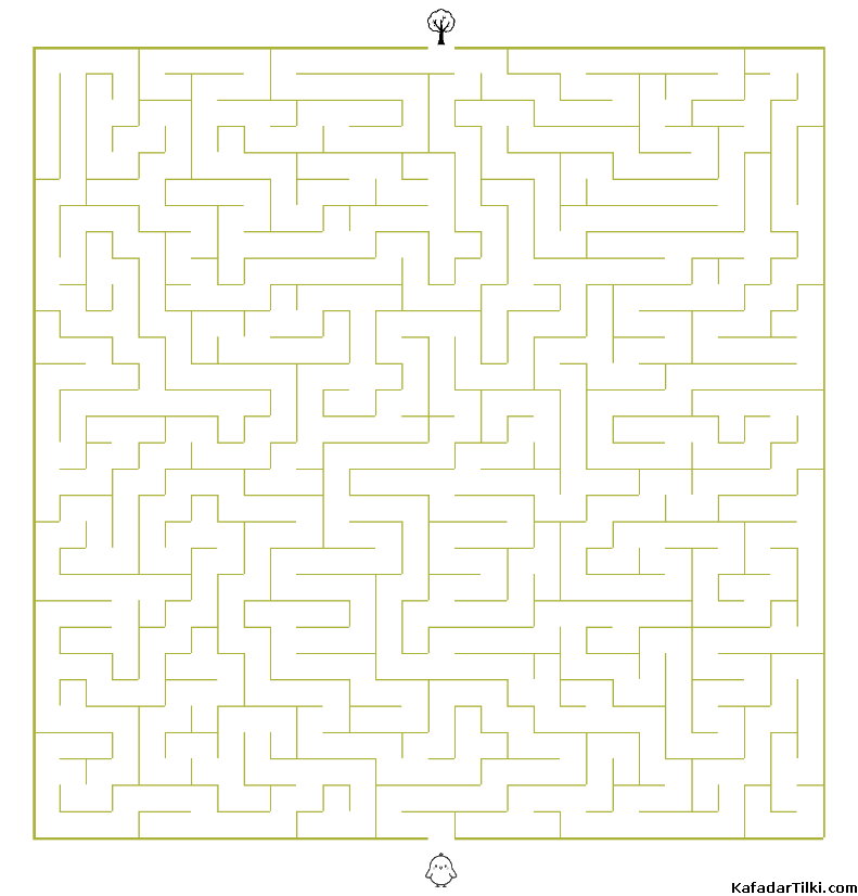 Orta Seviye Labirentler Kitap 14 - 5