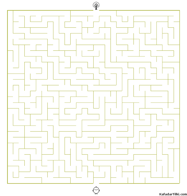 Orta Seviye Labirentler Kitap 15 - 1