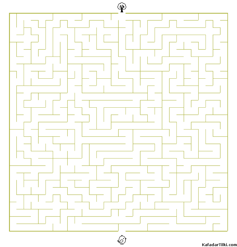 Orta Seviye Labirentler Kitap 2 - 1