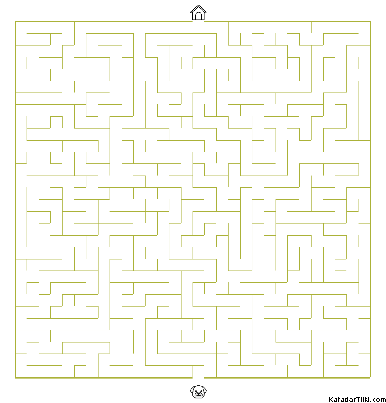 Orta Seviye Labirentler Kitap 2 - 2