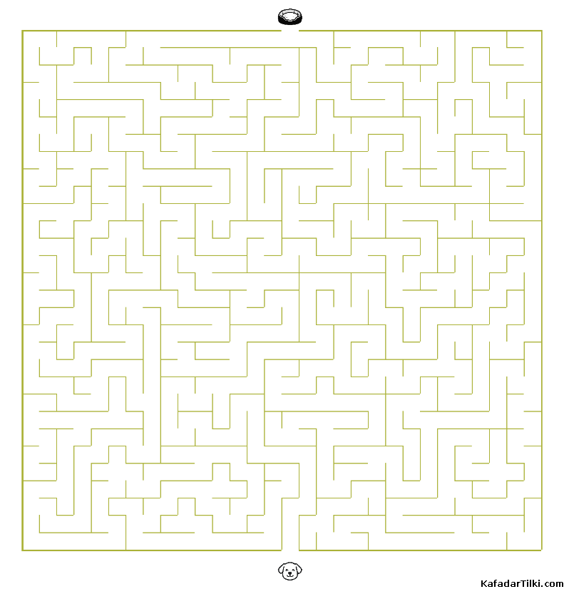 Orta Seviye Labirentler Kitap 21 - 1