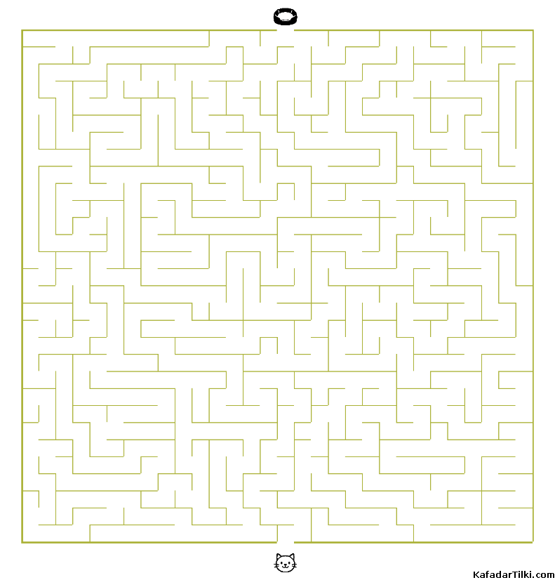 Orta Seviye Labirentler Kitap 21 - 2