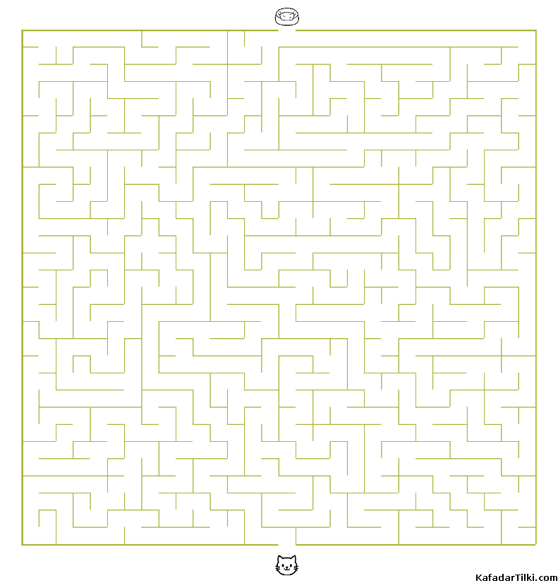 Orta Seviye Labirentler Kitap 22 - 6