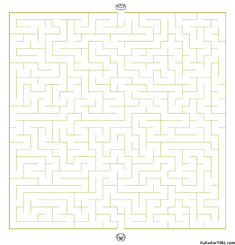 Orta Seviye Labirentler Kitap 3 - 2