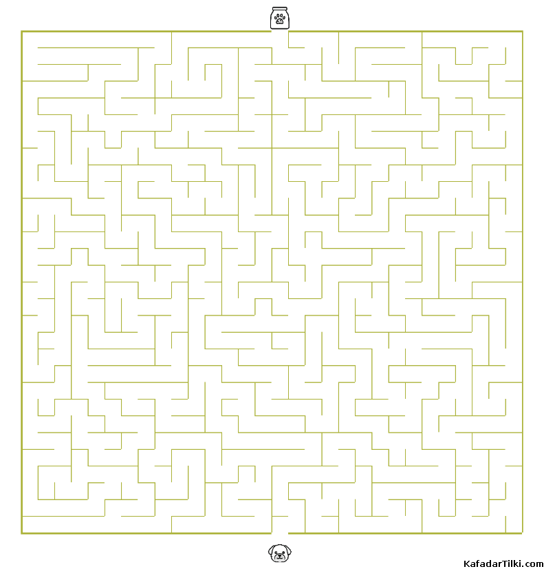 Orta Seviye Labirentler Kitap 5 - 1