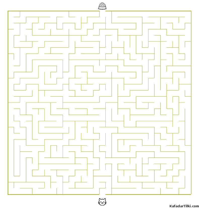 Orta Seviye Labirentler Kitap 5 - 2