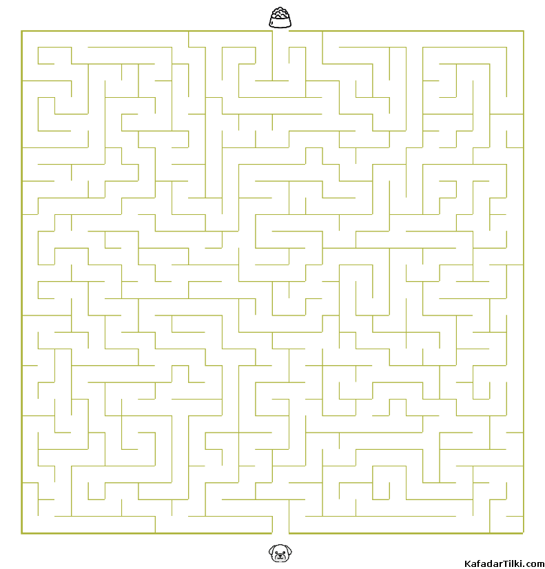 Orta Seviye Labirentler Kitap 5 - 6