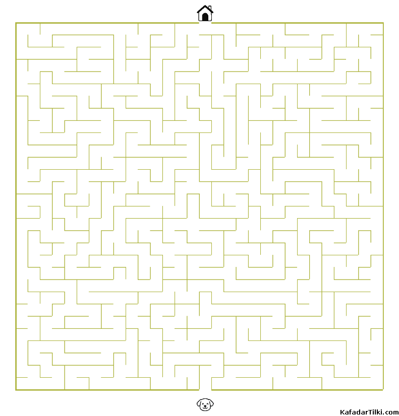 Orta Seviye Labirentler Kitap 5 - 8