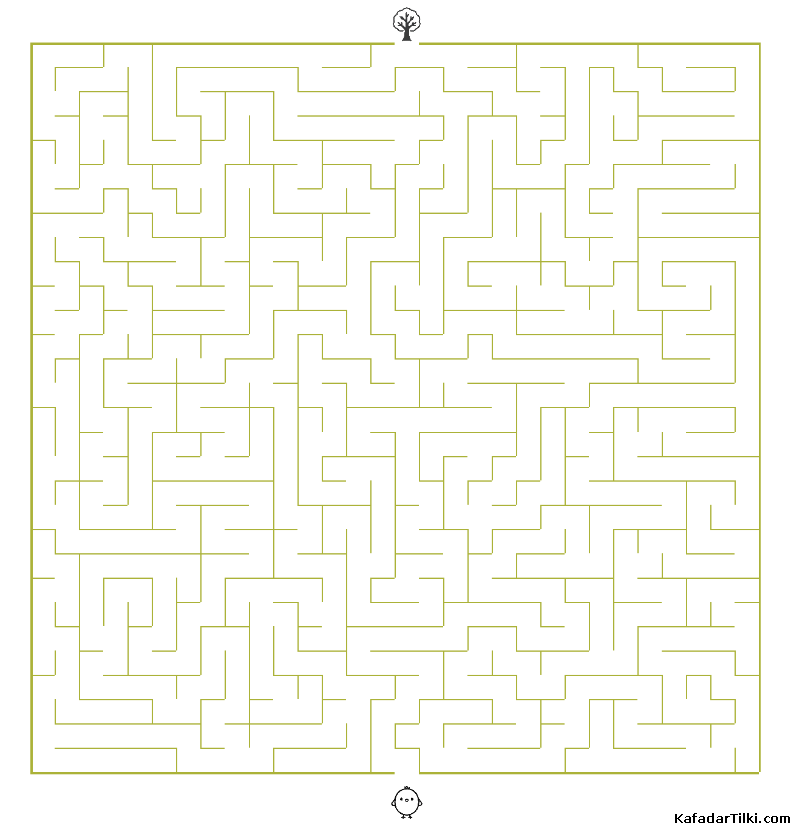 Orta Seviye Labirentler Kitap 6 - 5