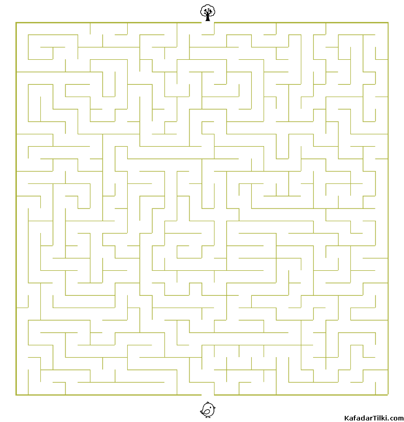 Orta Seviye Labirentler Kitap 8 - 10