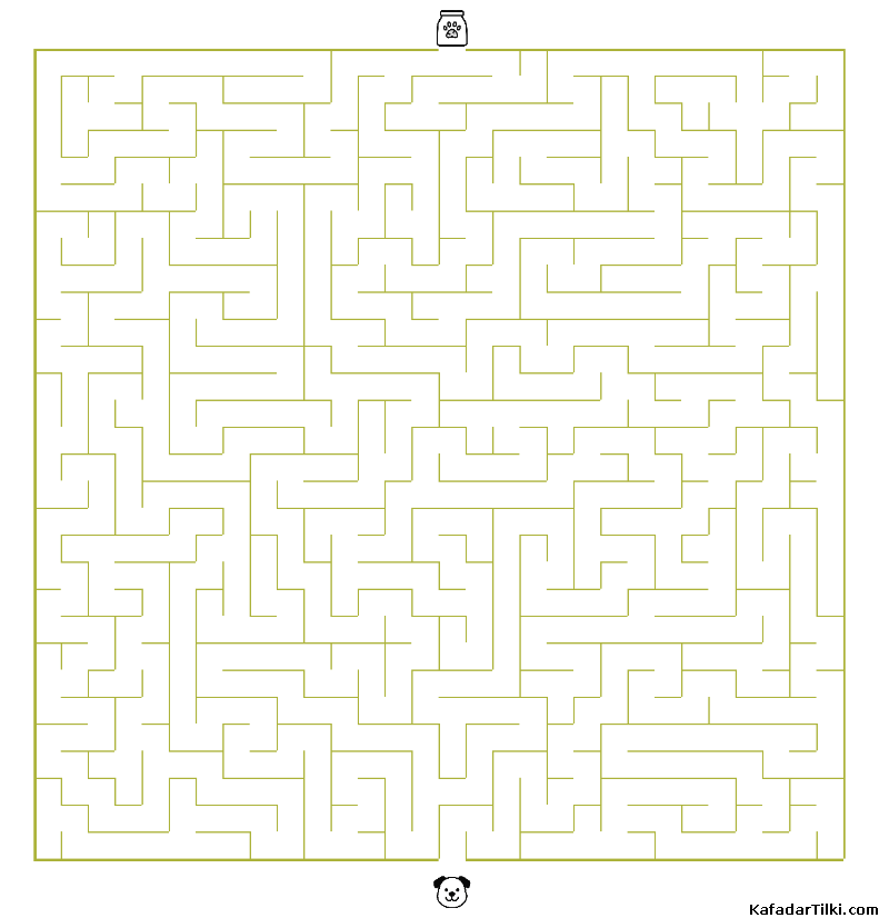 Orta Seviye Labirentler Kitap 9 - 2