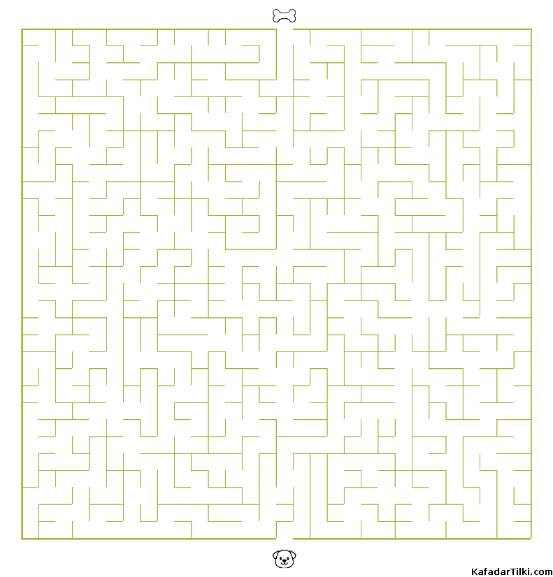 Zor Labirentler Kitap 1 - 4