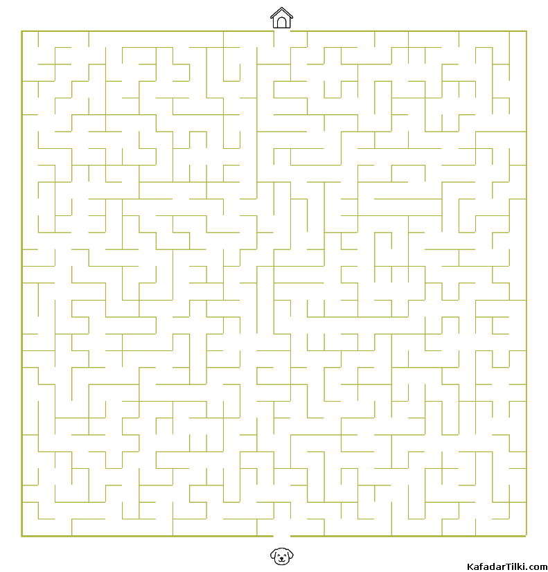 Zor Labirentler Kitap 1 - 6