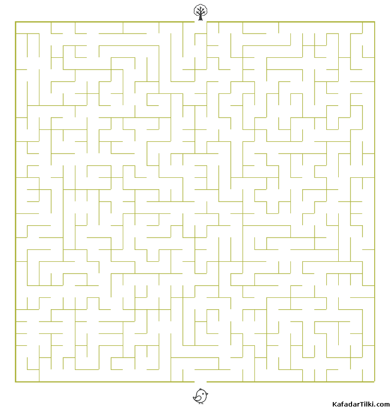 Zor Labirentler Kitap 4 - 5