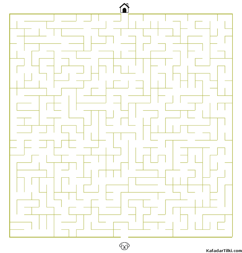 Zor Labirentler Kitap 5 - 5