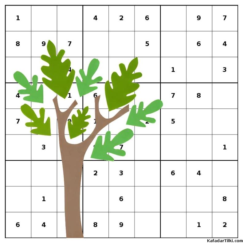 zorluk derecesi yüksek sudoku kitabı, 1. sayı